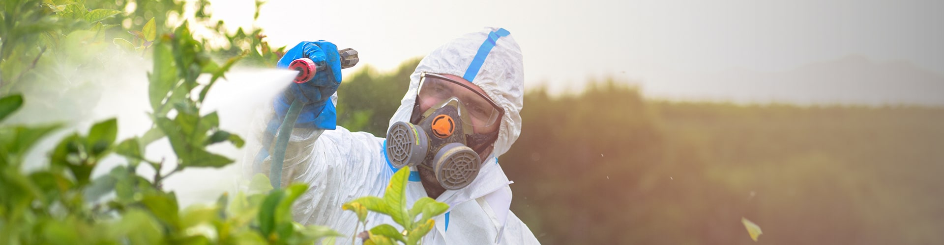 Encabezado Modificaciones de Registro Sanitario de Plaguicidas y Nutrientes Vegetales